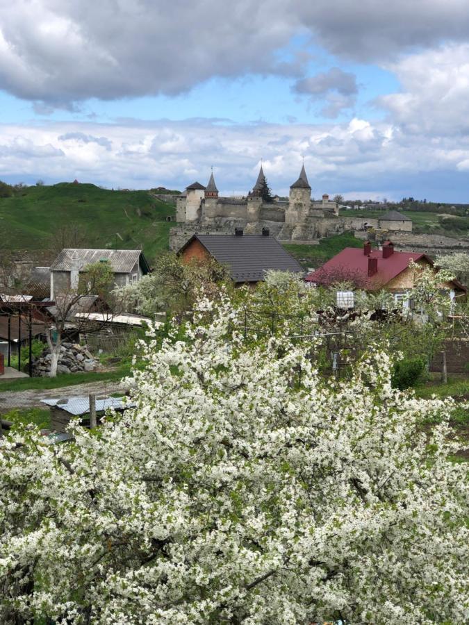 Vacation Home Lubov Kamjanets-Podilskyi Eksteriør billede
